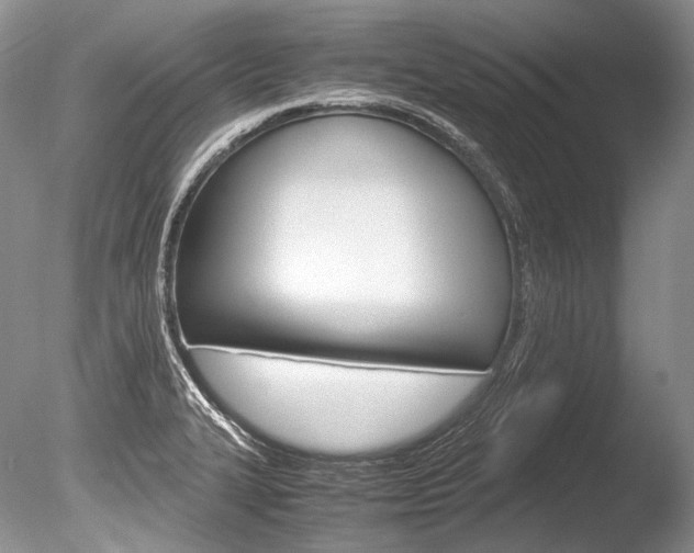 X0000086311327200703300946