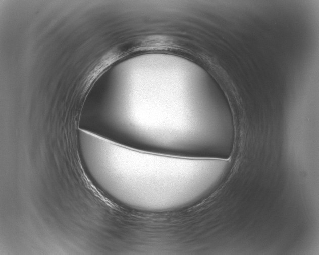 X0000086311329200703300946