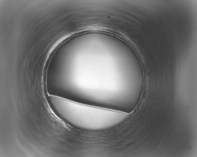 X0000086311331200703300946