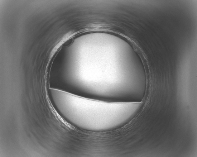X0000086311333200703300946