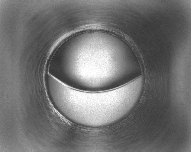 X0000086311334200703300946