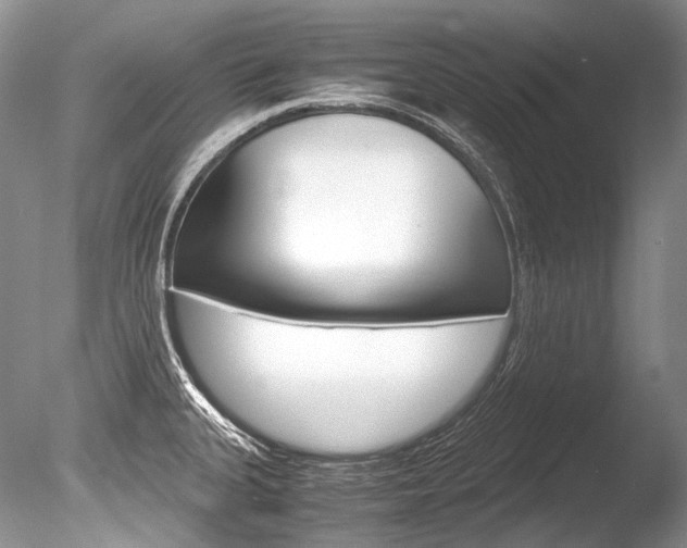 X0000086311335200703300946