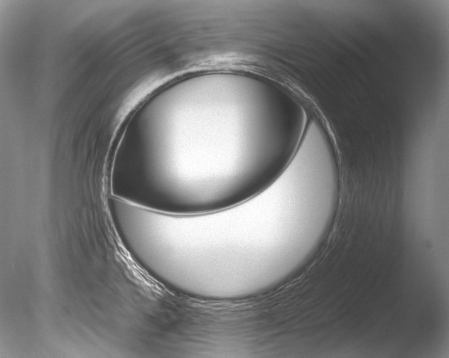 X0000086311336200703300946