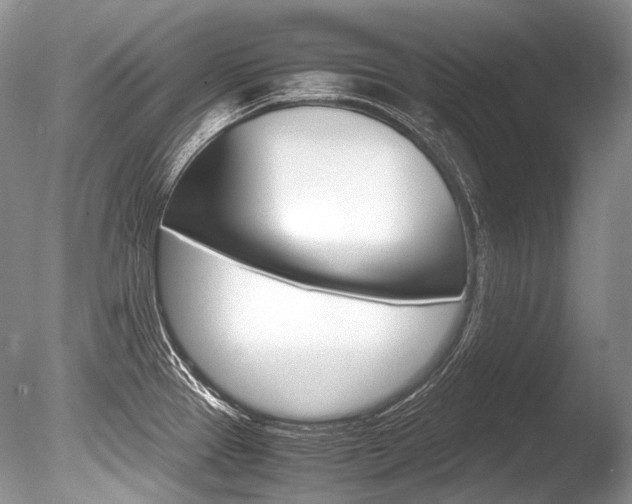 X0000086311337200703300946
