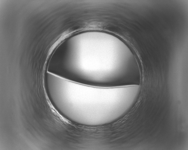 X0000086311341200703300946
