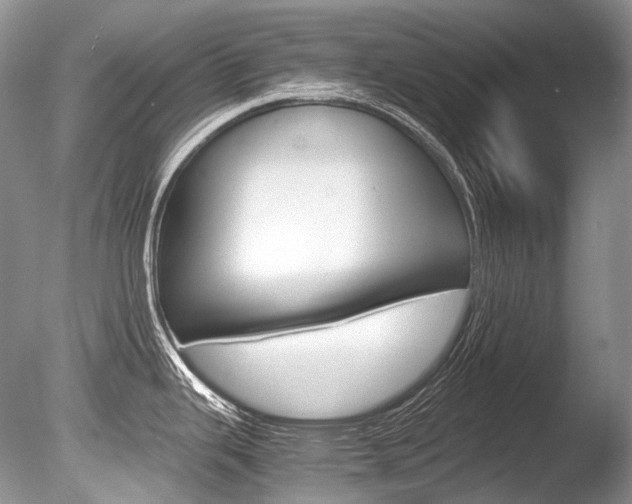 X0000086311343200703300946