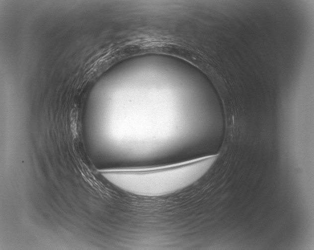 X0000086311348200703300945