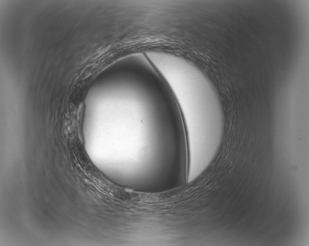 X0000086311349200703300945