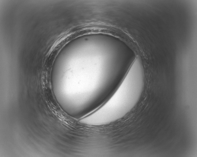 X0000086311352200703300945