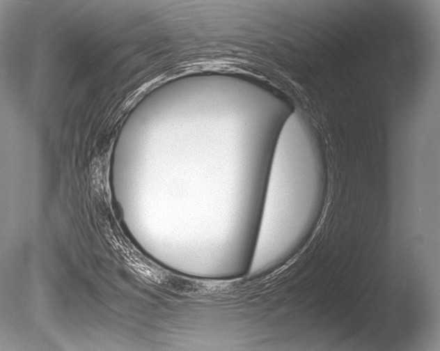 X0000086311353200703300945