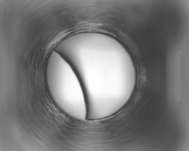 X0000086311354200703300945