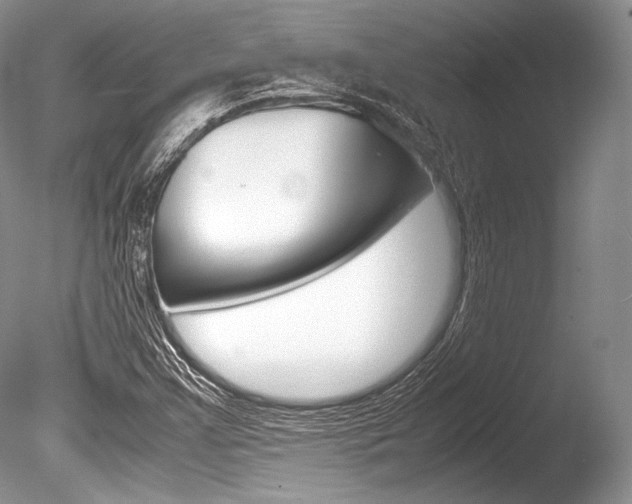X0000086311355200703300945