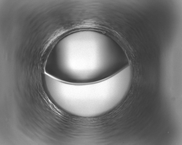 X0000086311356200703300945