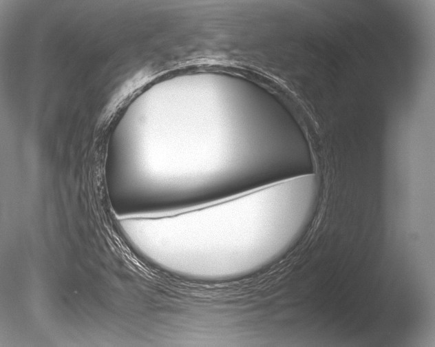 X0000086311359200703300945