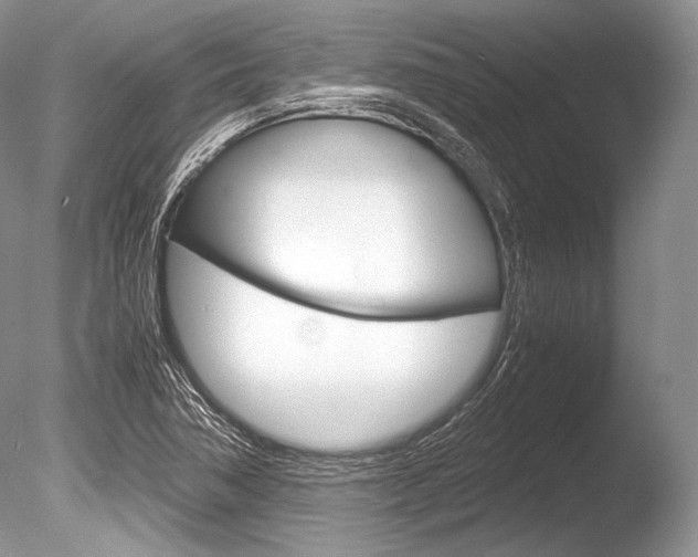 X0000086311362200703300945