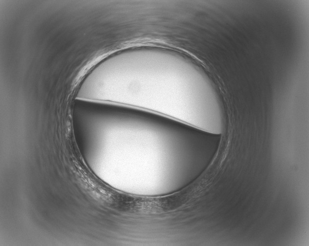 X0000086311363200703300945