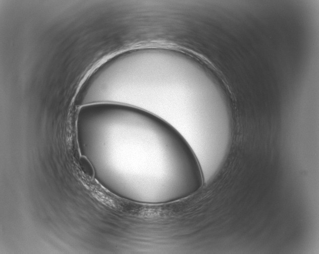 X0000086311364200703300945