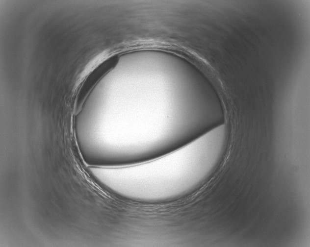 X0000086311365200703300945