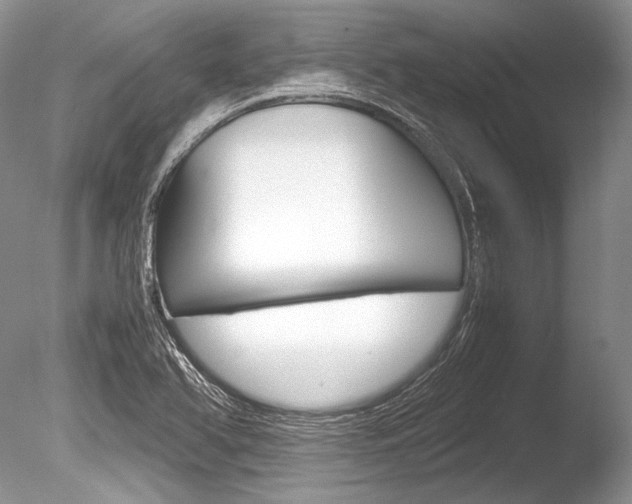 X0000086311366200703300945