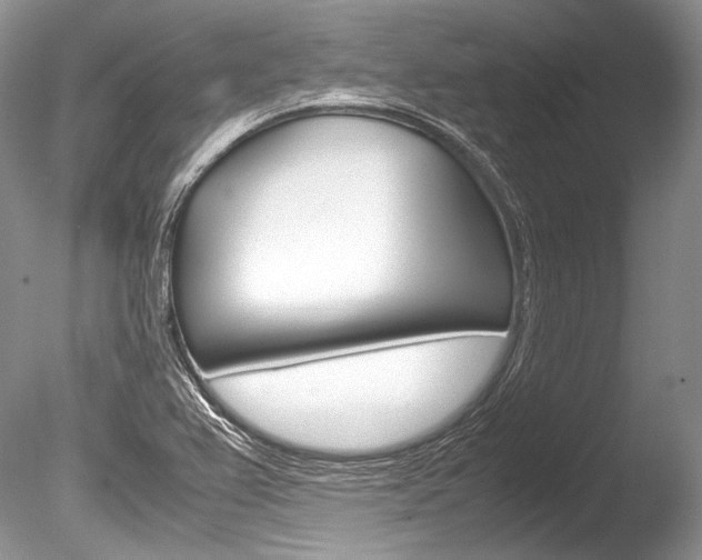 X0000086311367200703300945