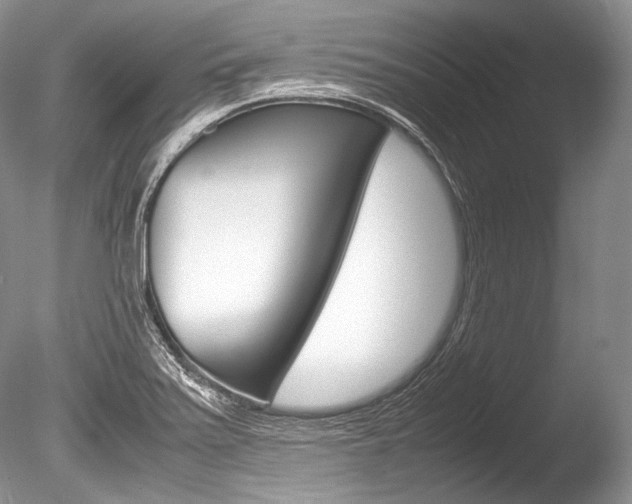 X0000086311371200703300945