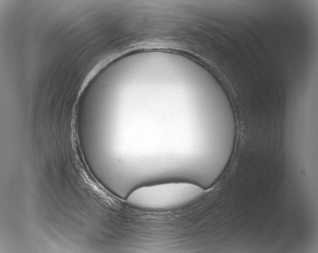 X0000086311374200703300945