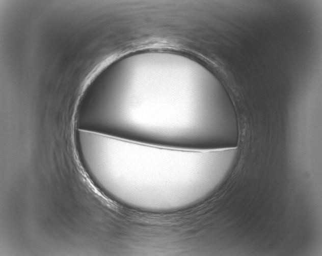 X0000086311375200703300945