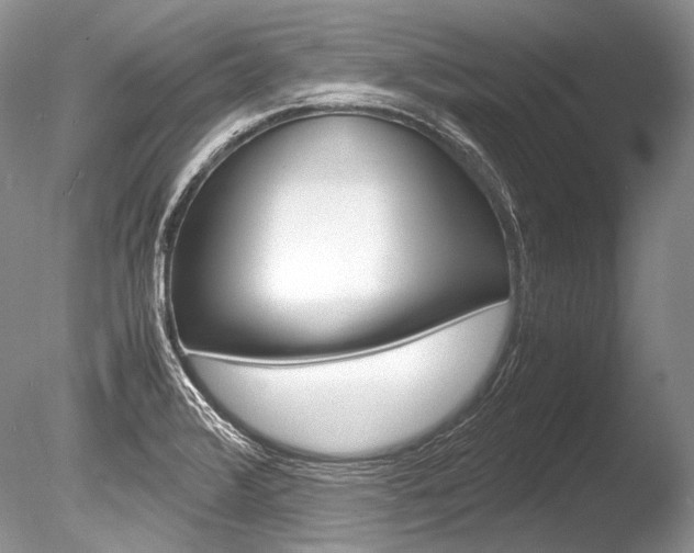 X0000086311376200703300945