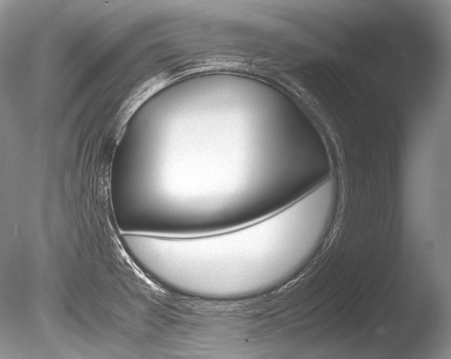 X0000086311377200703300945