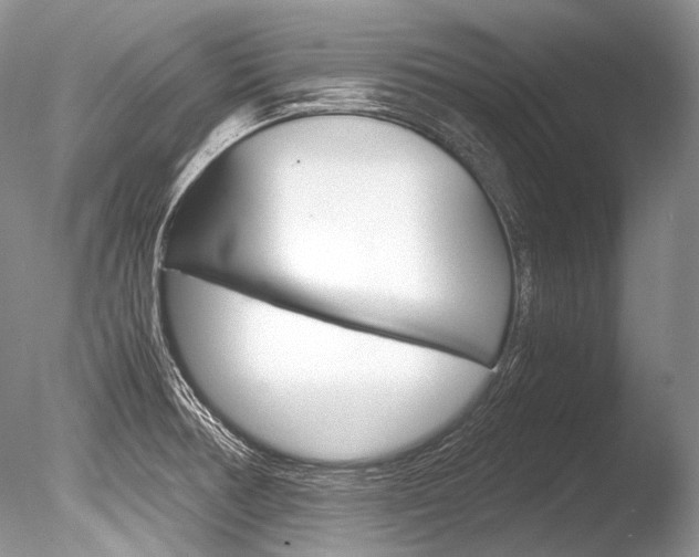 X0000086311378200703300945