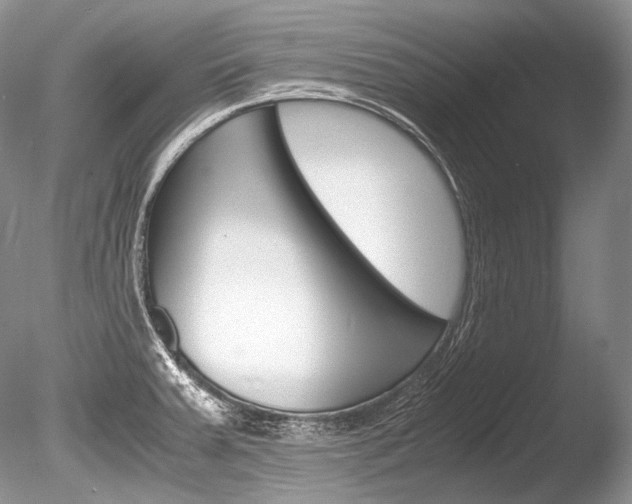 X0000086311379200703300945