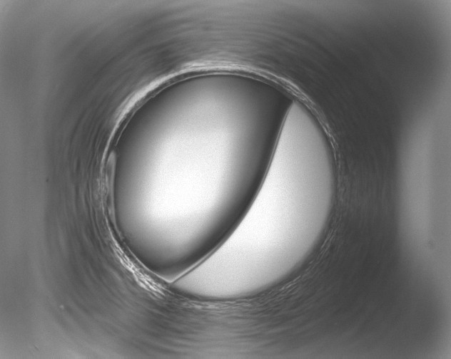 X0000086311380200703300945