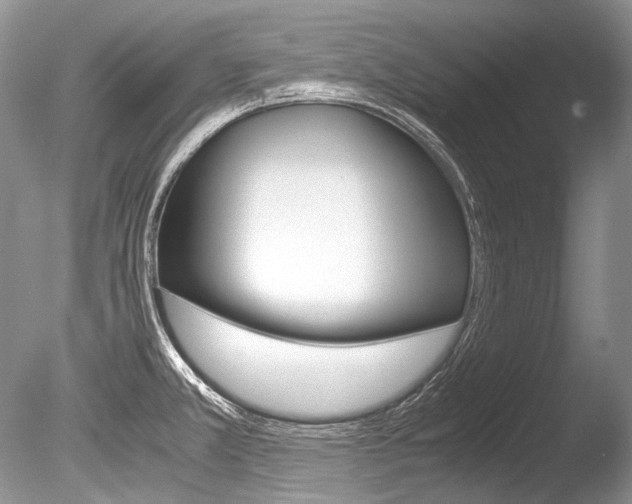 X0000086311381200703300945