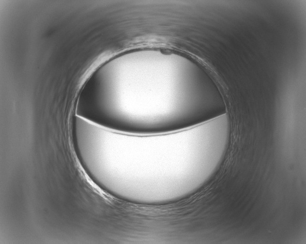 X0000086311383200703300945