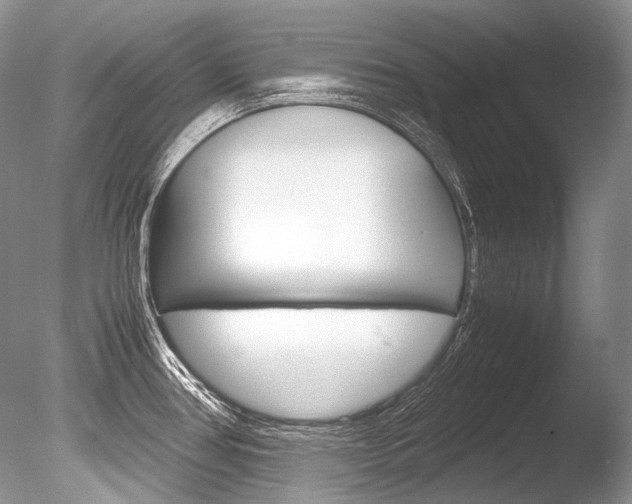 X0000086311386200703300945