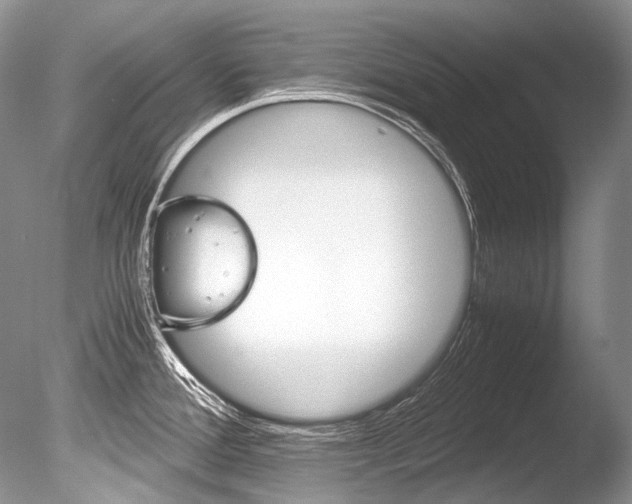 X0000086311388200703300944