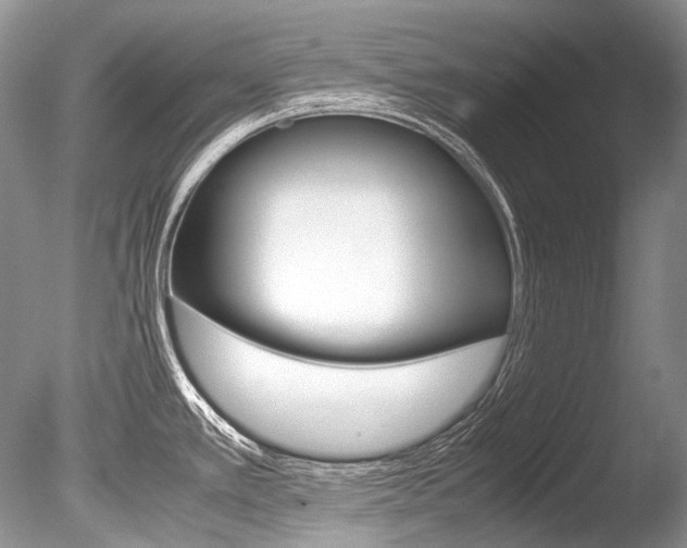 X0000086311389200703300944