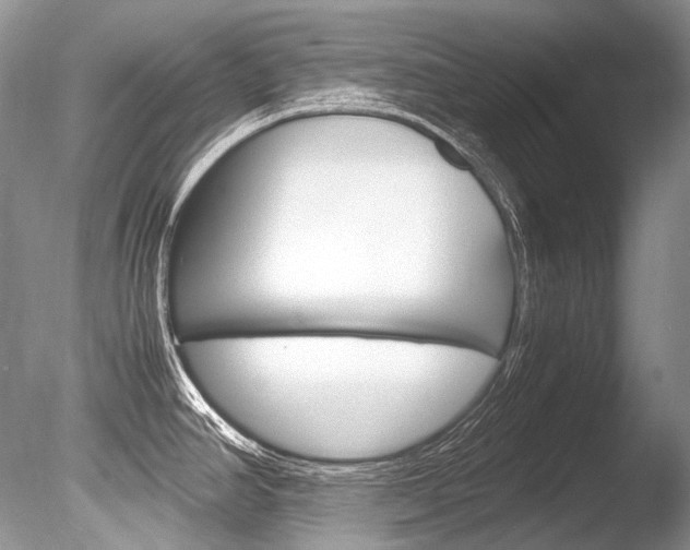 X0000086311390200703300944