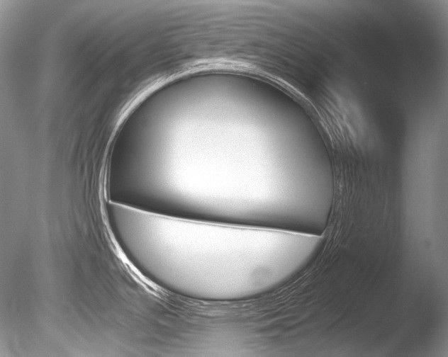 X0000086311391200703300944
