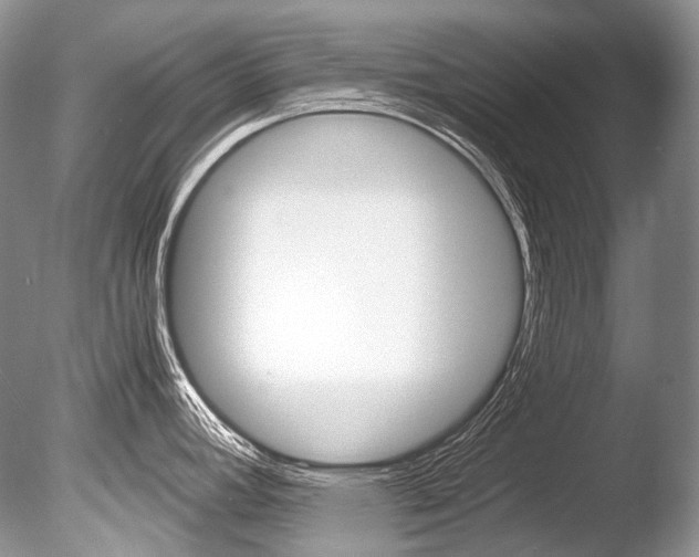 X0000086311392200703300944