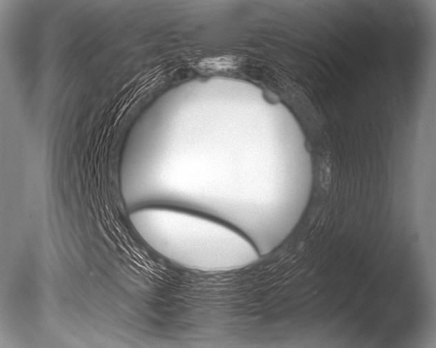 X0000086311393200703300944