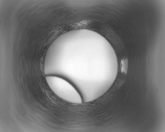X0000086311395200703300944