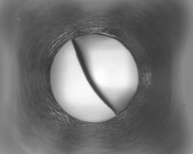 X0000086311397200703300944