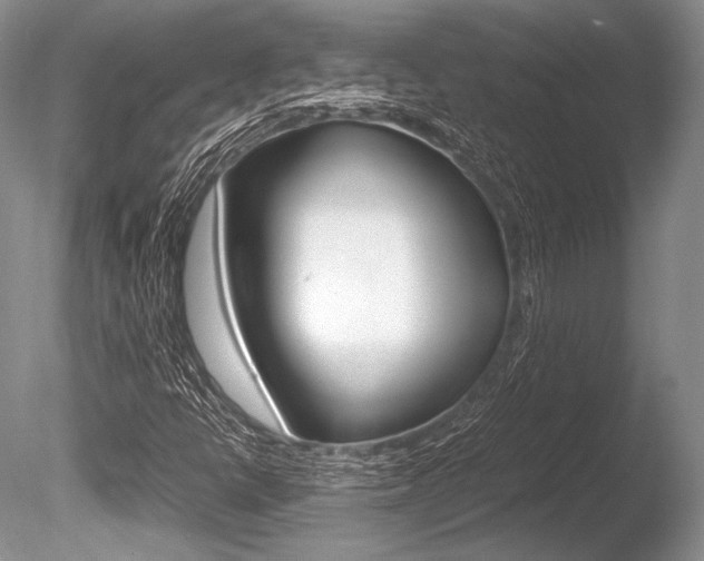 X0000086311398200703300944