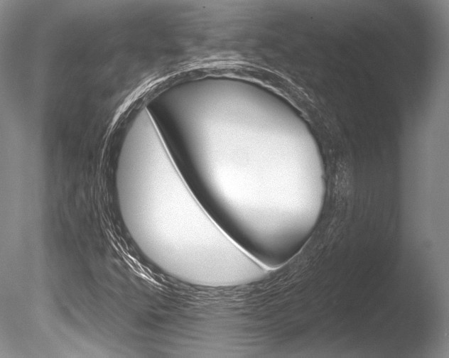 X0000086311400200703300944
