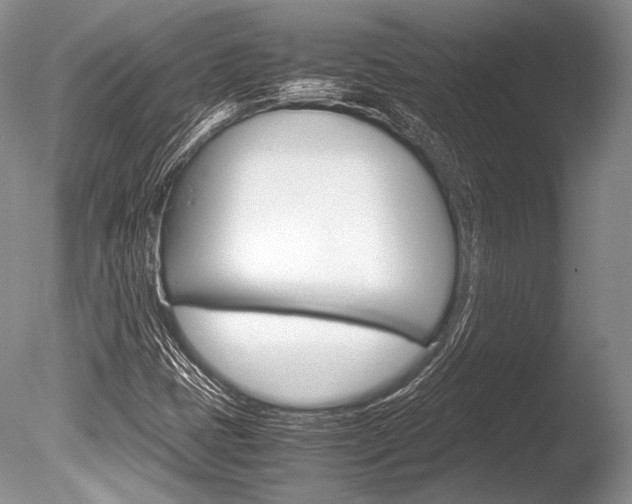 X0000086311401200703300944