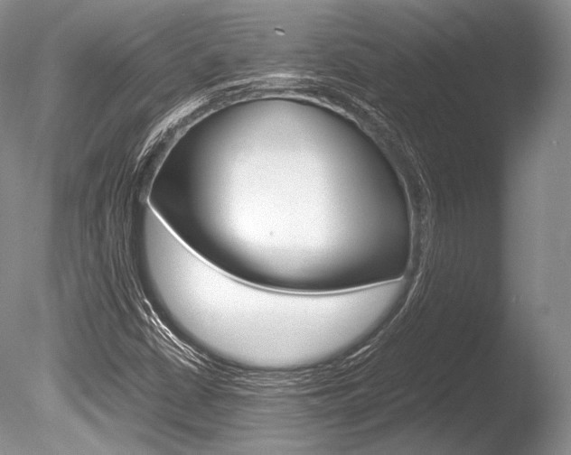 X0000086311402200703300944