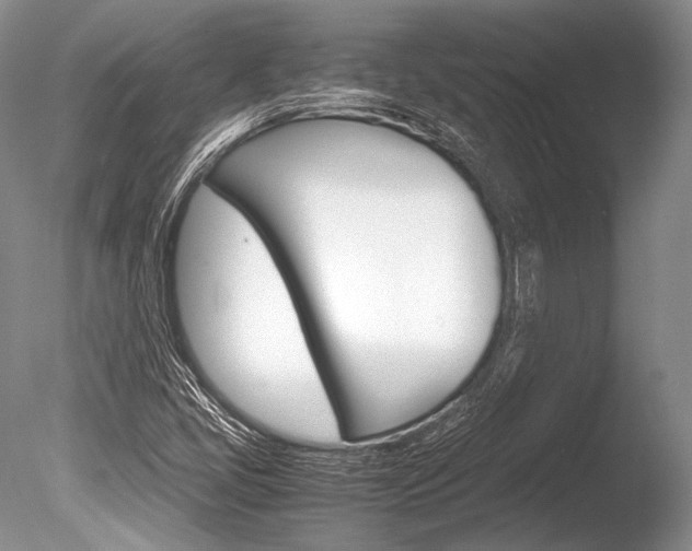 X0000086311405200703300944