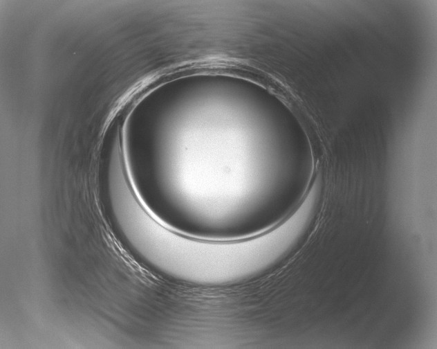 X0000086311410200703300944