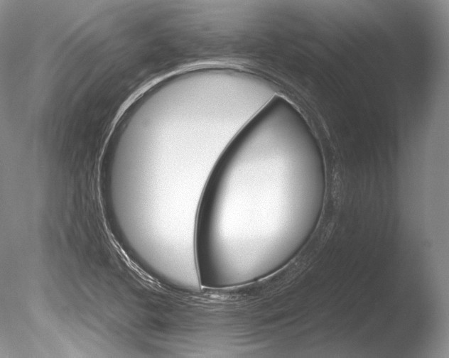 X0000086311412200703300944